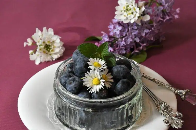 The Rise of Food Trucks: Redefining Street Food Culture