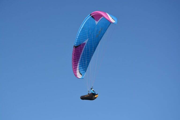 IPL and Environmental Sustainability: Green Initiatives and Eco-Friendly Practices