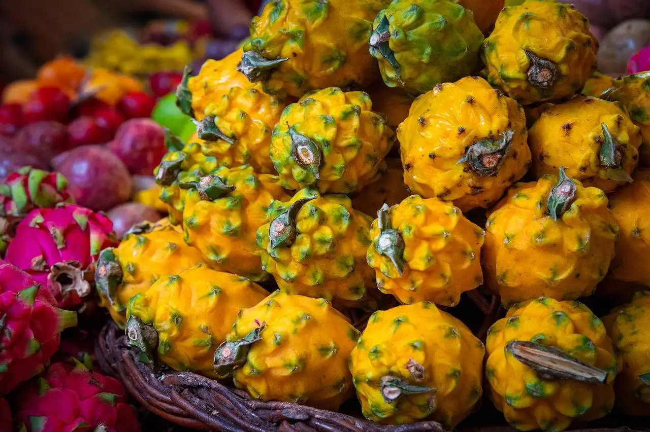 Exploring the Growth of Online Second-Hand Electronics Marketplaces