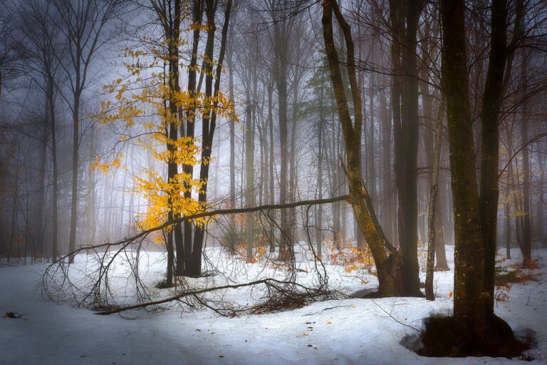 Travel and History: Discovering Ancient Sites and Ruins