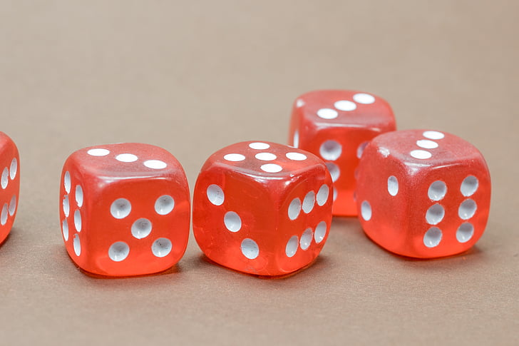 Play99exch or Satsport: Where Should You Bet?