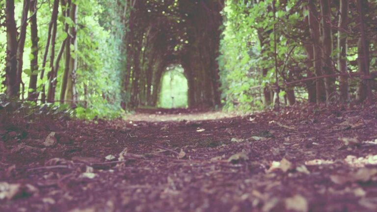 What Is The Benefit Of Using 99Exch Cloud Login?